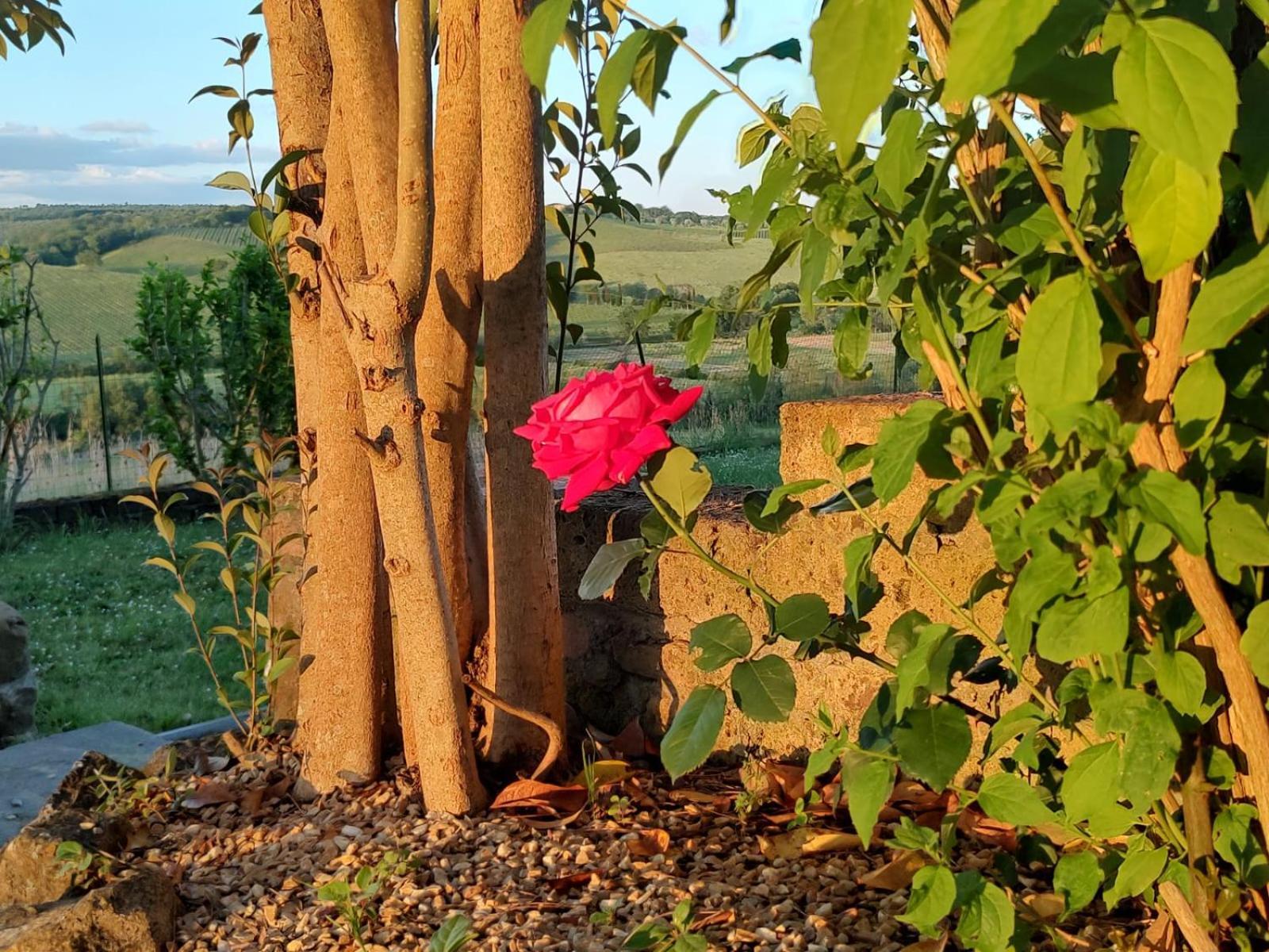 Il Giardino Del Chianti Leilighet Siena Eksteriør bilde