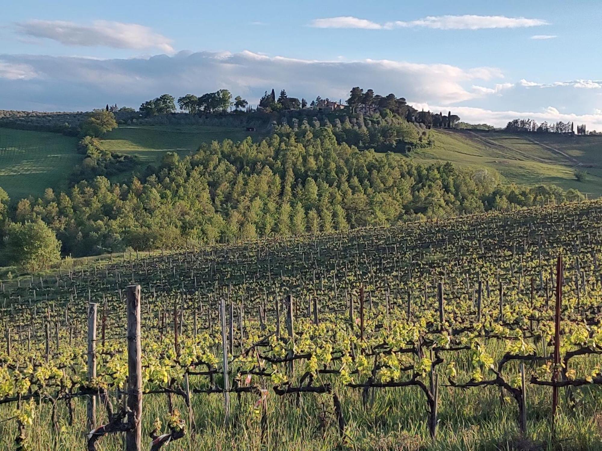 Il Giardino Del Chianti Leilighet Siena Eksteriør bilde